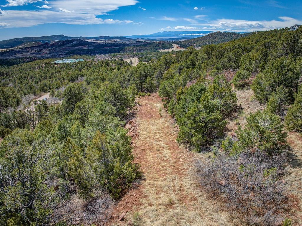14430 Aiken Ride View Colorado Springs, CO 80926 - Photo 20 of 21