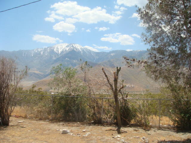 12972 Emerald Drive Whitewater, CA 92282 - Photo 26 of 55 a view of a yard