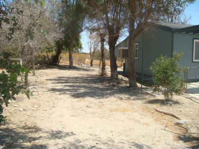 12972 Emerald Drive Whitewater, CA 92282 - Photo 44 of 55 a view of a yard with plants and trees