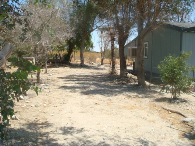 12972 Emerald Drive Whitewater, CA 92282 - Photo 45 of 55 a view of a yard with a tree
