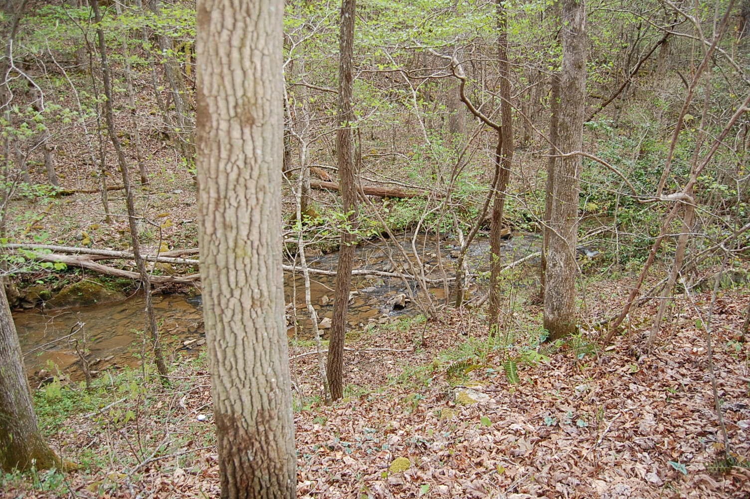 12 Flat Mountain Road Dunlap, TN 37327 - Photo 20 of 25 Gallery Image 20