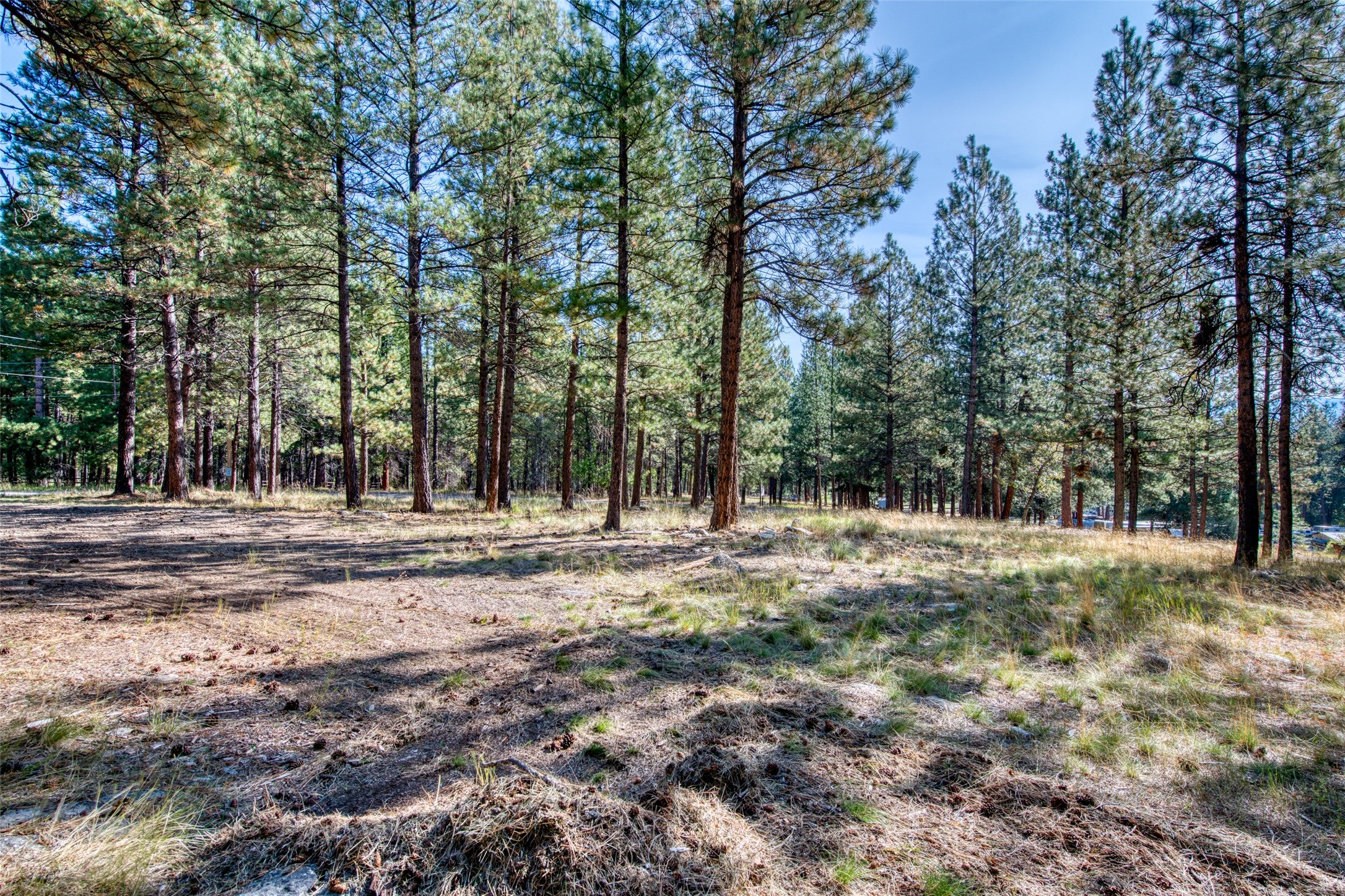 309 Owings Creek Road Hamilton, MT 59840 - Photo 25 of 33 Gallery Image 25