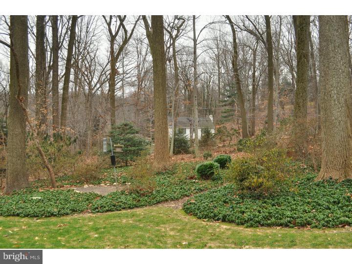 524 Upper Weadley Road Wayne, PA 19087 - Photo 25 of 25
