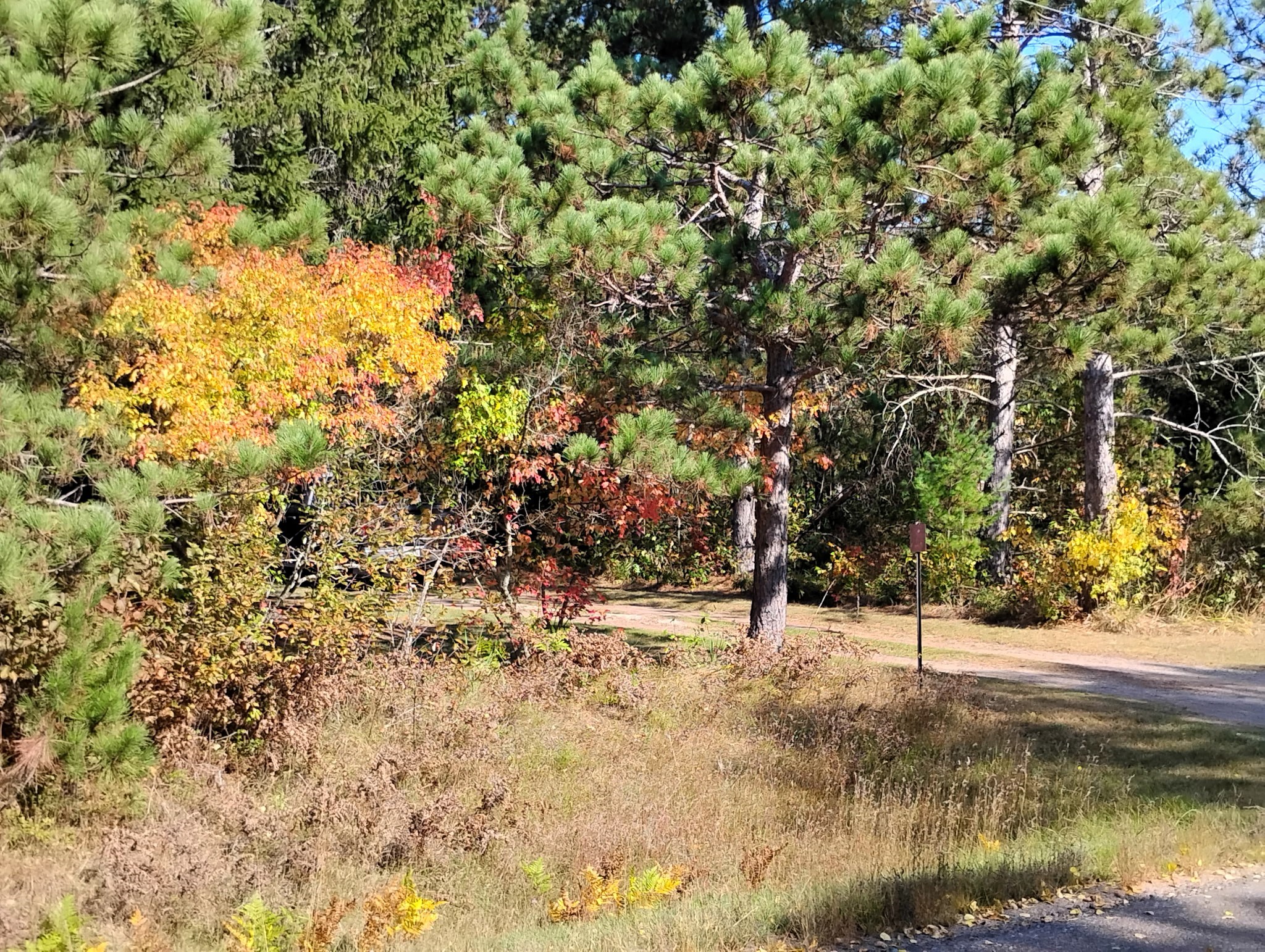 W3602 Willers Road Springbrook, WI 54875 - Photo 15 of 28