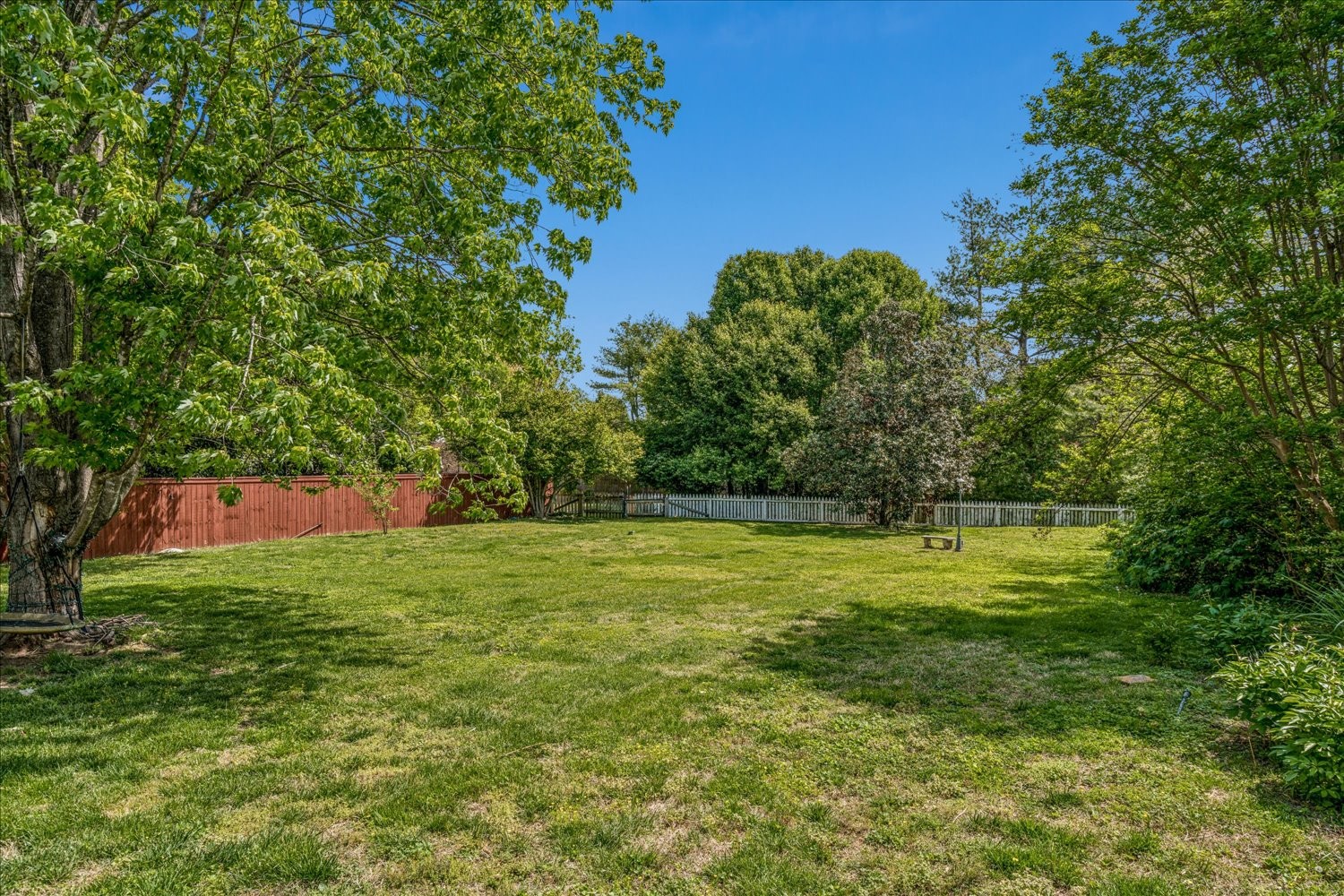 532 Bancroft Way Franklin, TN 37064 - Photo 47 of 48 a view of a field with a tree