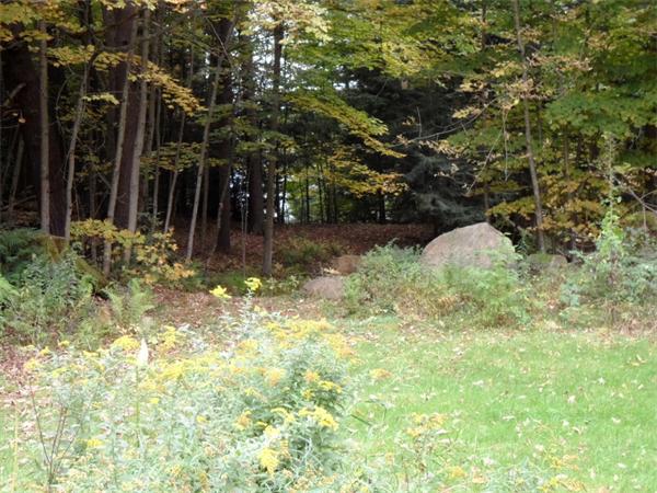 491 Petersham Road Athol, MA 01331 - Photo 20 of 22 a view of backyard with tree