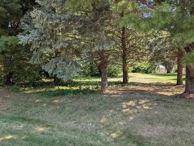 a view of a tree in a yard