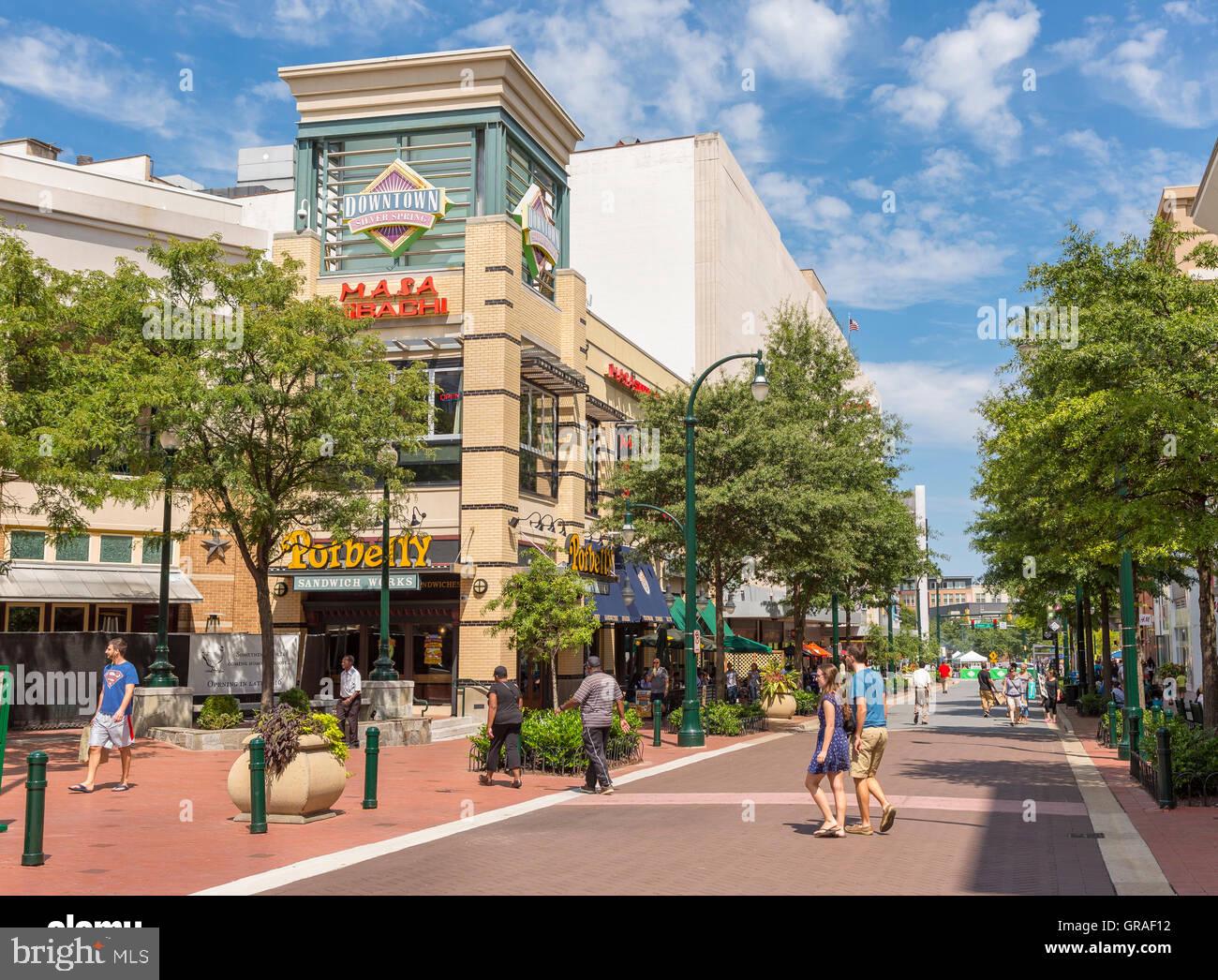 8601 Manchester Road, Unit 315 Silver Spring, MD 20901 - Photo 19 of 19