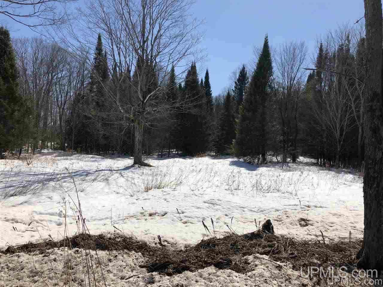 Tbd Tbd Vogel Road Rapid River, MI 49878 - Photo 5 of 6