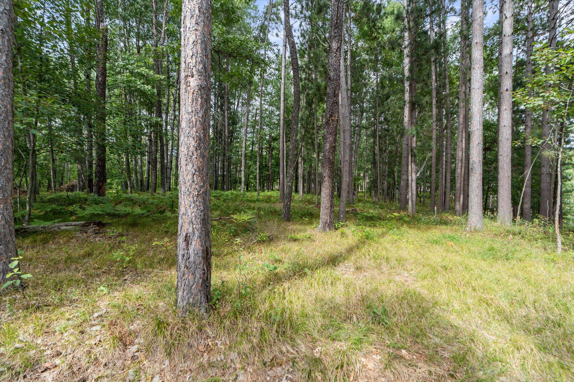 36130 Butternut Point Road Pequot Lakes, MN 56472 - Photo 53 of 59 Gallery Image 53
