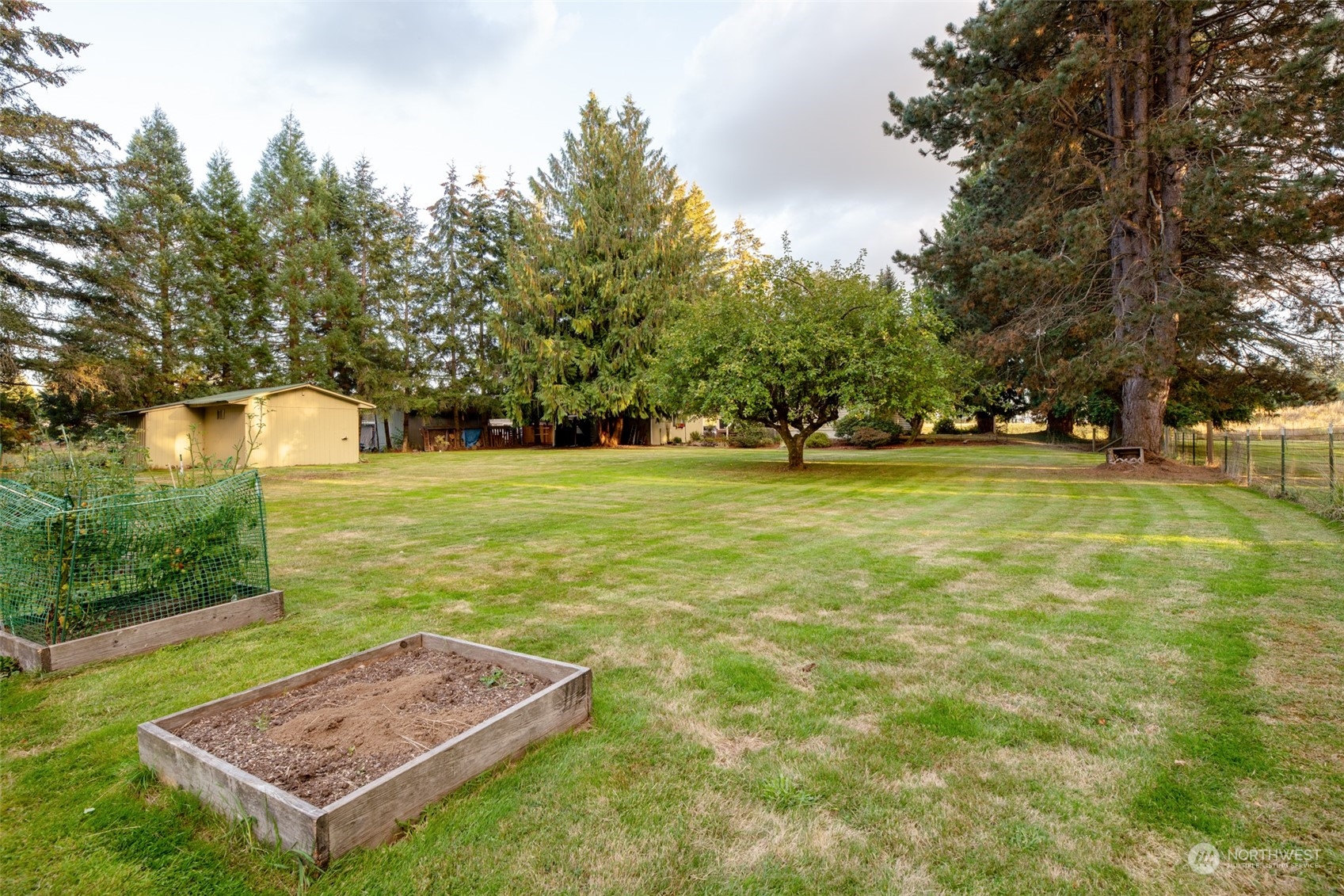973 Koontz Road Chehalis, WA 98532 - Photo 23 of 25 a view of a big yard with large trees and plants