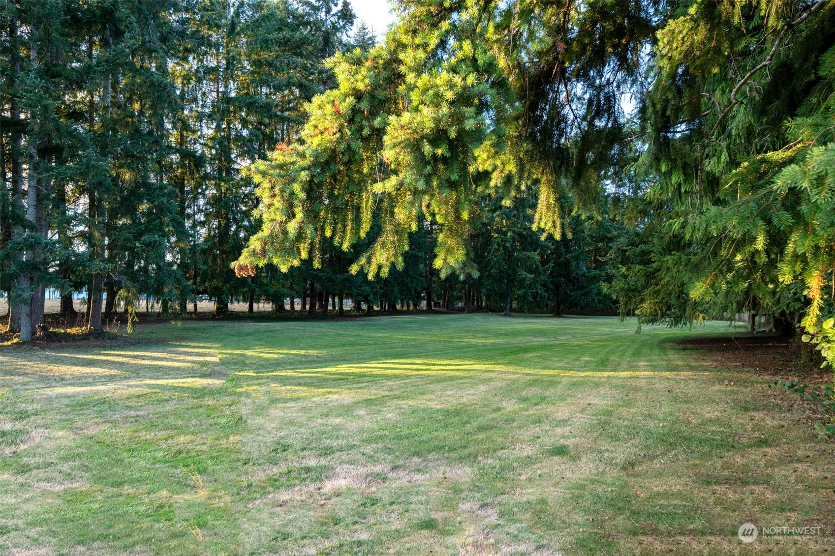 973 Koontz Road Chehalis, WA 98532 - Photo 24 of 25 a view of a park