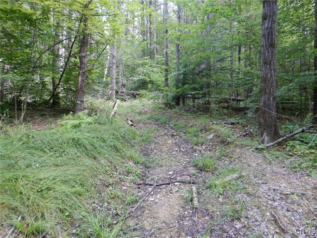 Chaffee Creek Road Newfield, NY 14867 - Photo 16 of 21