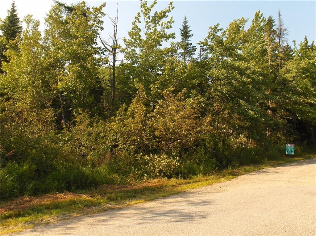 Lot 211 Kelly Road Milbridge, ME 04658 - Photo 3 of 5 Photo