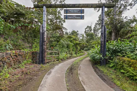 a view of a pathway of a park