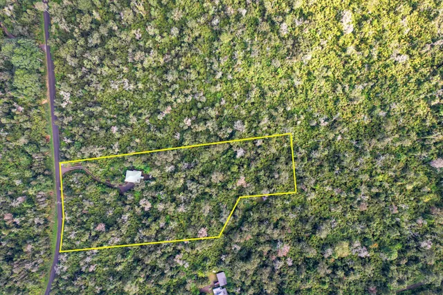 a view of a small yard