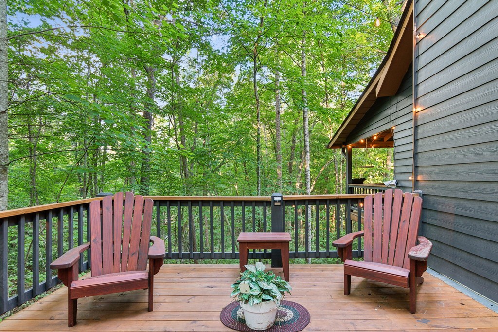 889 Granny Branch Drive Blue Ridge, GA 30513 - Photo 7 of 63 Gallery Image 7