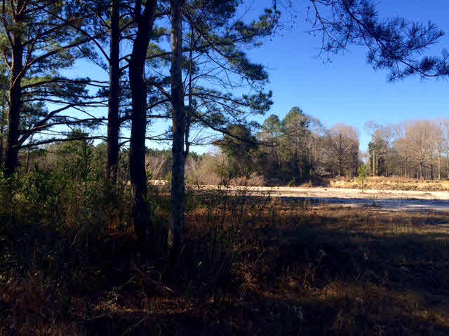 20932 Earl Phillips Road Little River, AL 36550 - Photo 11 of 17