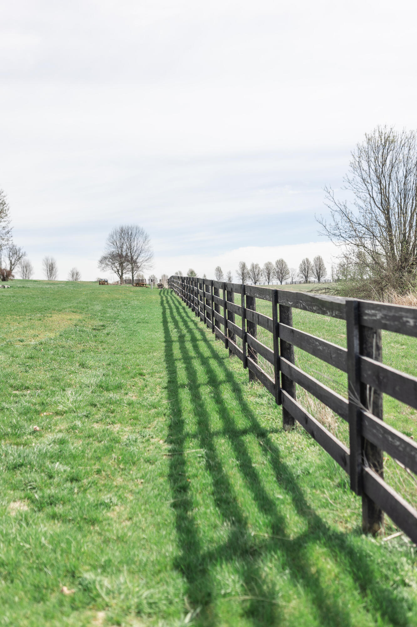 6395 Delaney Ferry Road Versailles, KY 40383 - Photo 48 of 52 DelaneyFerry-105