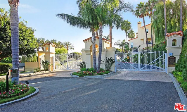 a row of palm trees and a yard with palm trees
