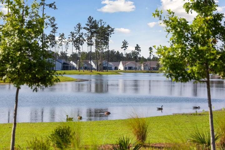 111 Haverhill Street Summerville, SC 29486 - Photo 22 of 24 20250102215713149829000000-o