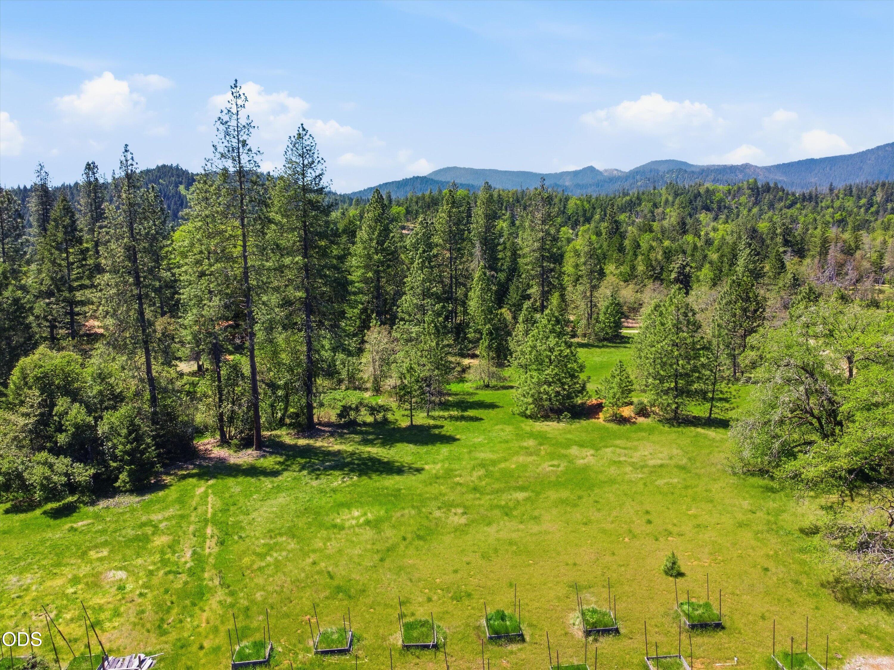 422 Onion Mountain Road Wilderville, OR 97543 - Photo 44 of 52