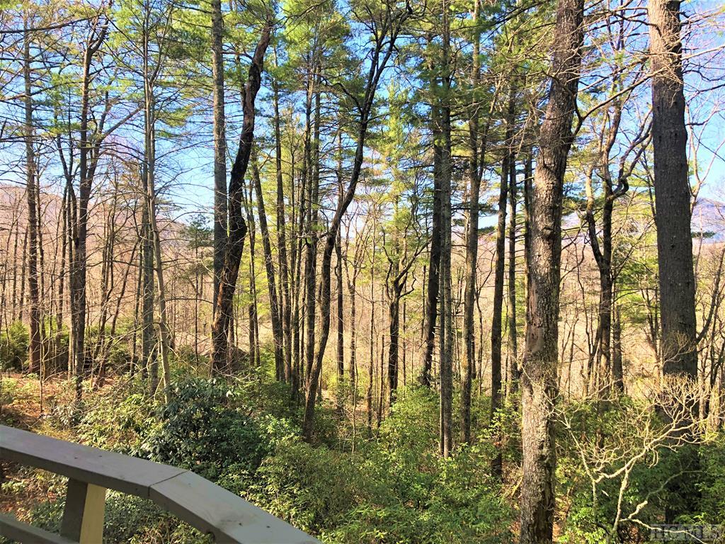 223 Highridge Road Cashiers, NC 28717 - Photo 25 of 46 Gallery Image 25