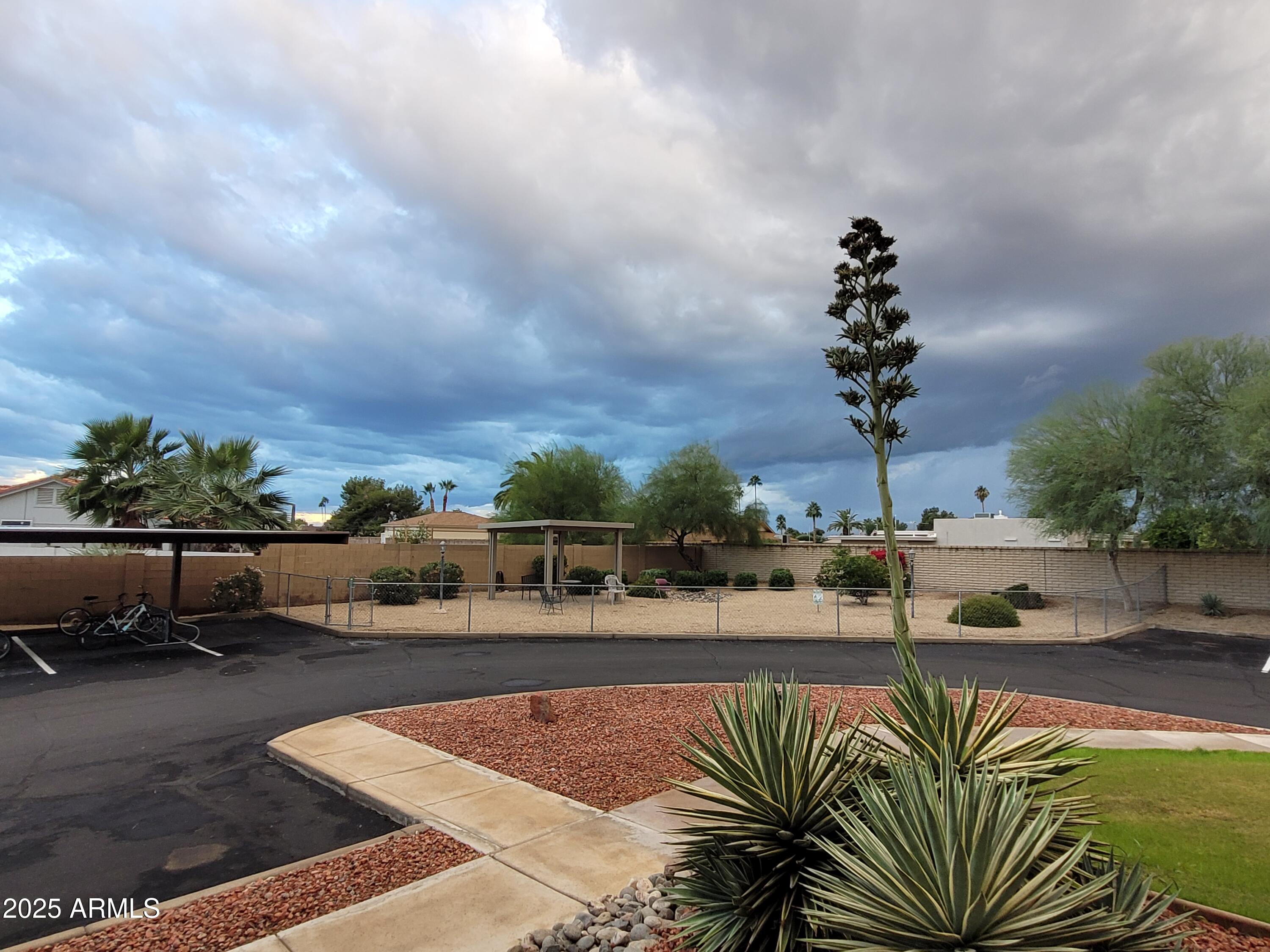 9151 West Greenway Road, Unit 152 Peoria, AZ 85381 - Photo 5 of 17 a view of swimming pool with patio