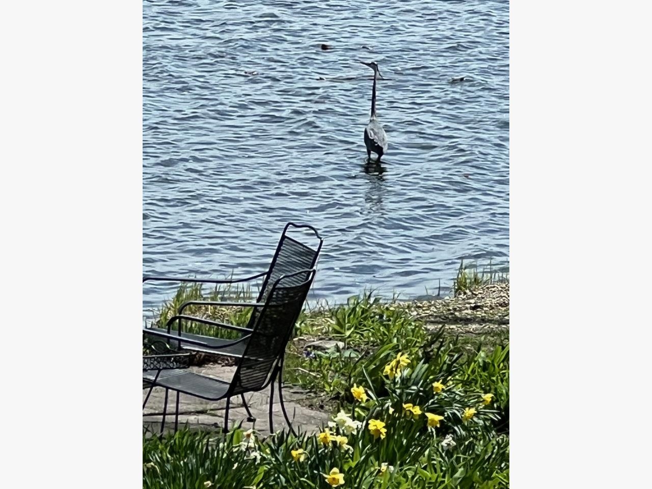 N6480 Shorewood Hills Road Lake Mills, WI 53551 - Photo 37 of 40