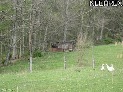 9845 Matchett Road Norwich, OH 43767 - Photo 10 of 11 Gallery Image 10