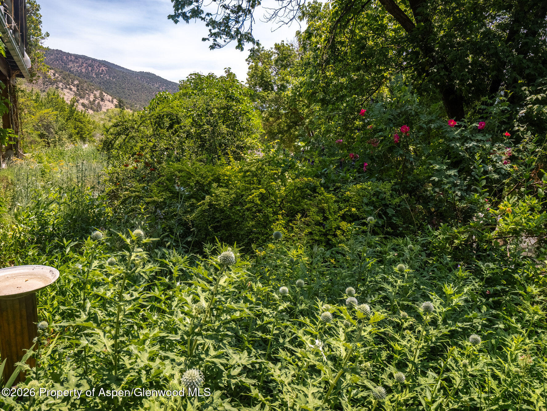 216 East Homestead Drive Basalt, CO 81621 - Photo 38 of 58 MLS - 216 E Homestead Drive - Basalt, CO