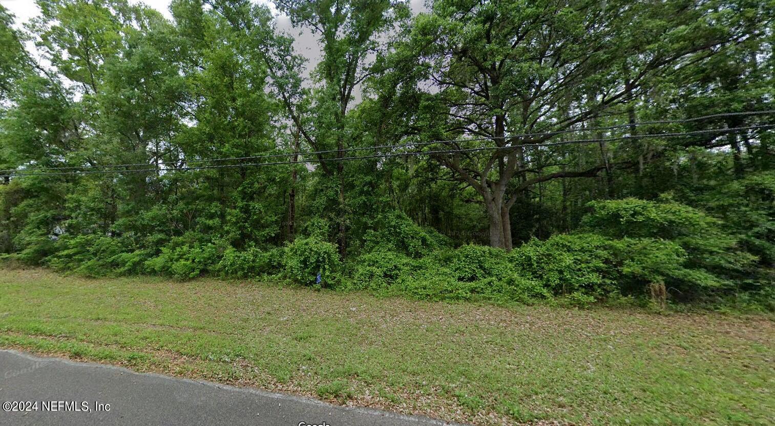 0 Branscomb Road Middleburg, FL 32068 - Photo 3 of 4 a view of a yard with plants and large trees