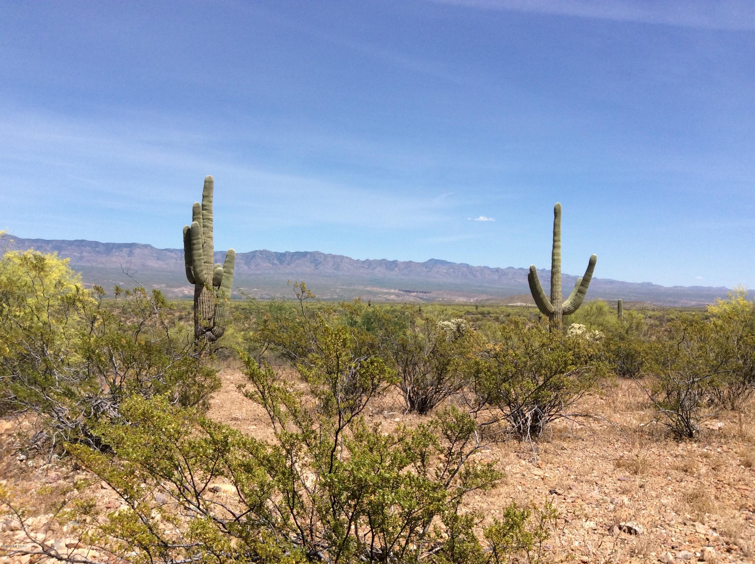 Peppersauce Mine Road San Manuel, AZ 85631 - Photo 1 of 33