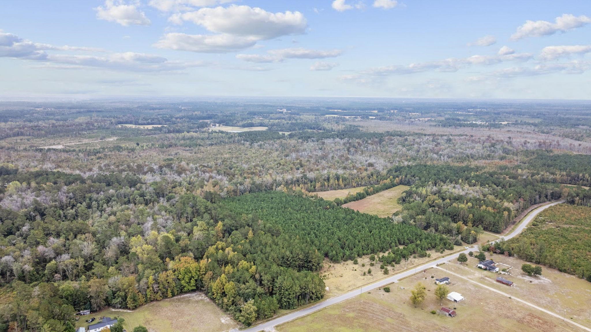 Lot 9 Creek Landing Road Nichols, SC 29581 - Photo 16 of 19 Gallery Image 16