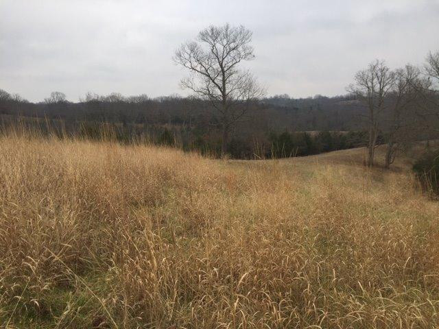 9535 Georgetown Road Owenton, KY 40359 - Photo 22 of 29 Gallery Image 22