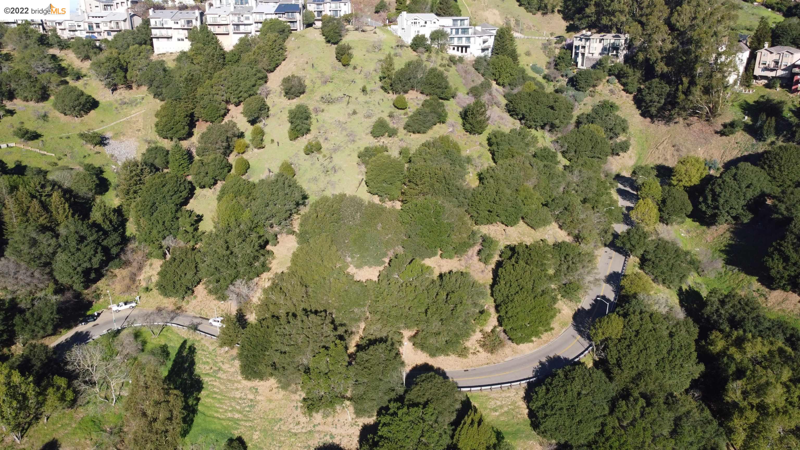 a view of a lot of flowers and trees