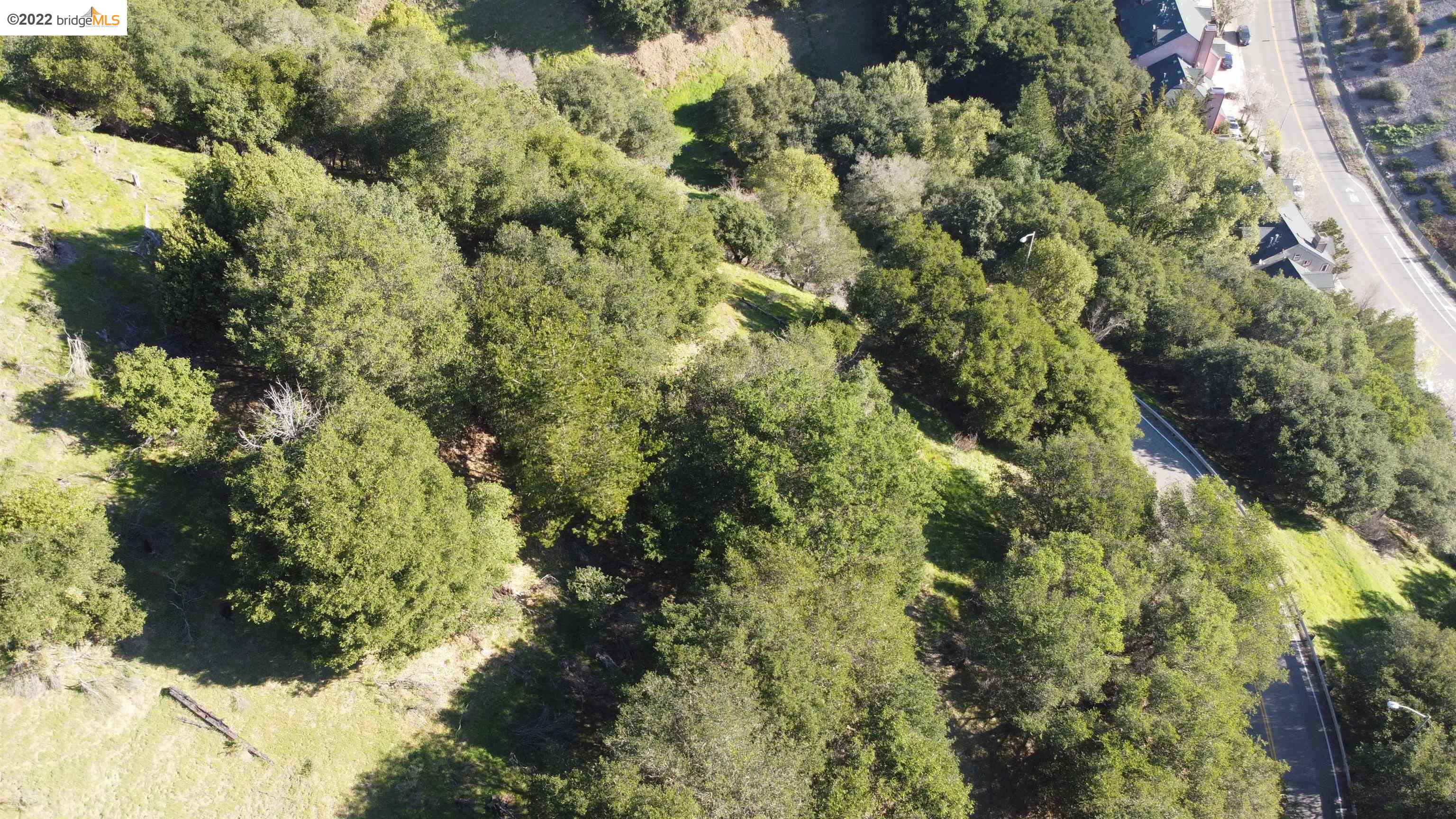 0 Tunnel Road Berkeley, CA 94705 - Photo 11 of 21 a view of a garden with plants
