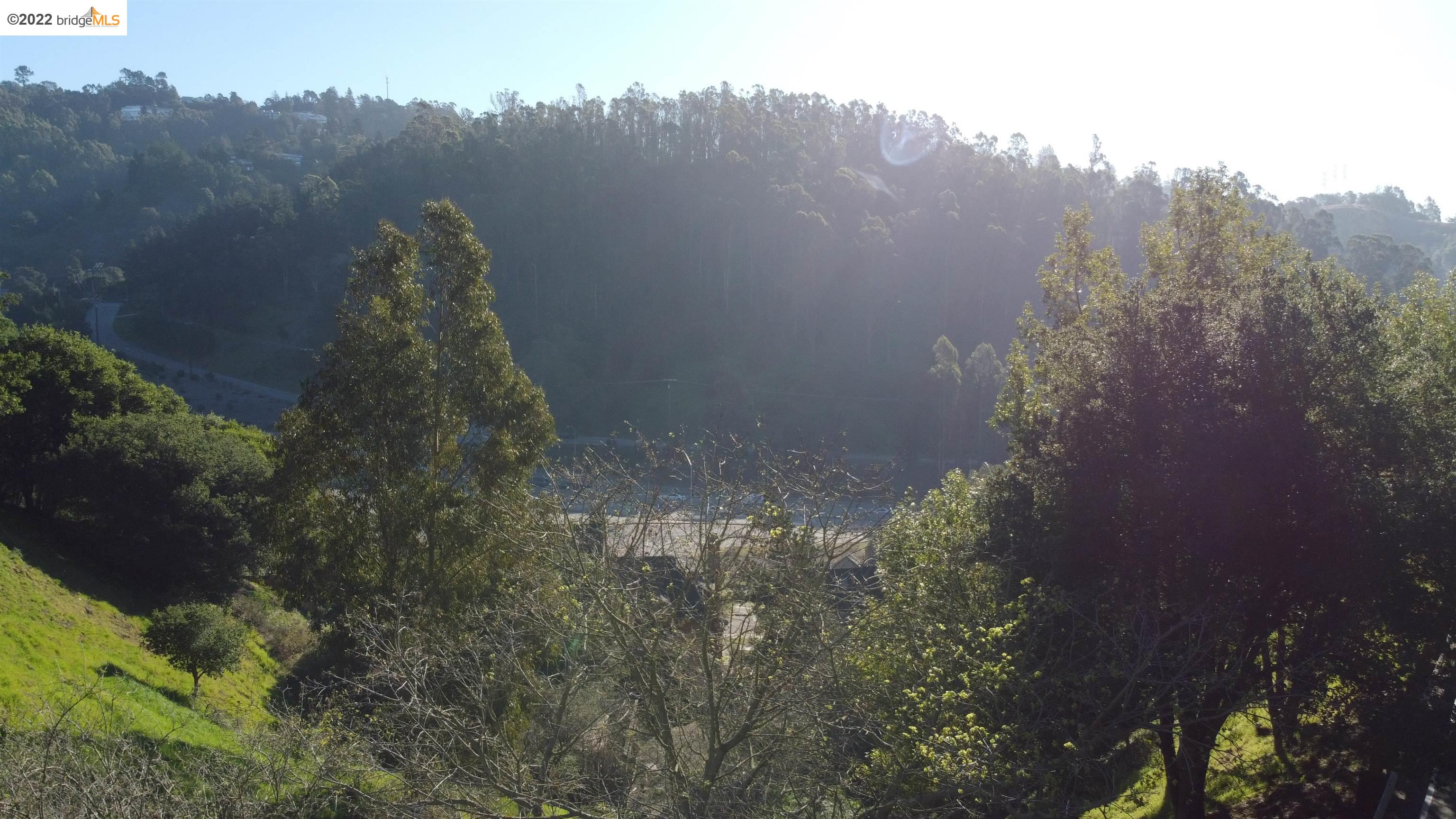 0 Tunnel Road Berkeley, CA 94705 - Photo 13 of 21 a view of a yard
