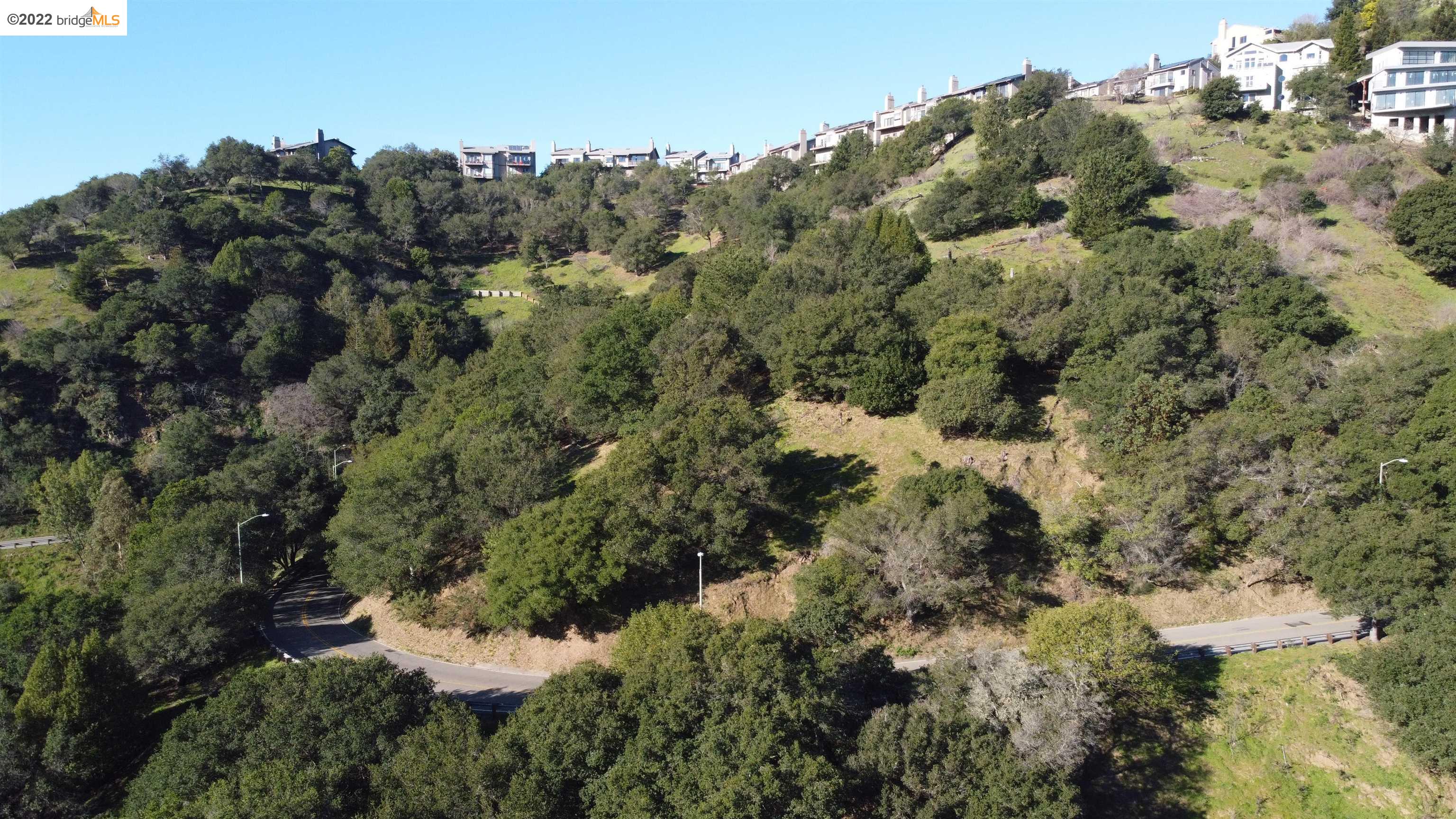 0 Tunnel Road Berkeley, CA 94705 - Photo 15 of 21 a view of a forest with a houses