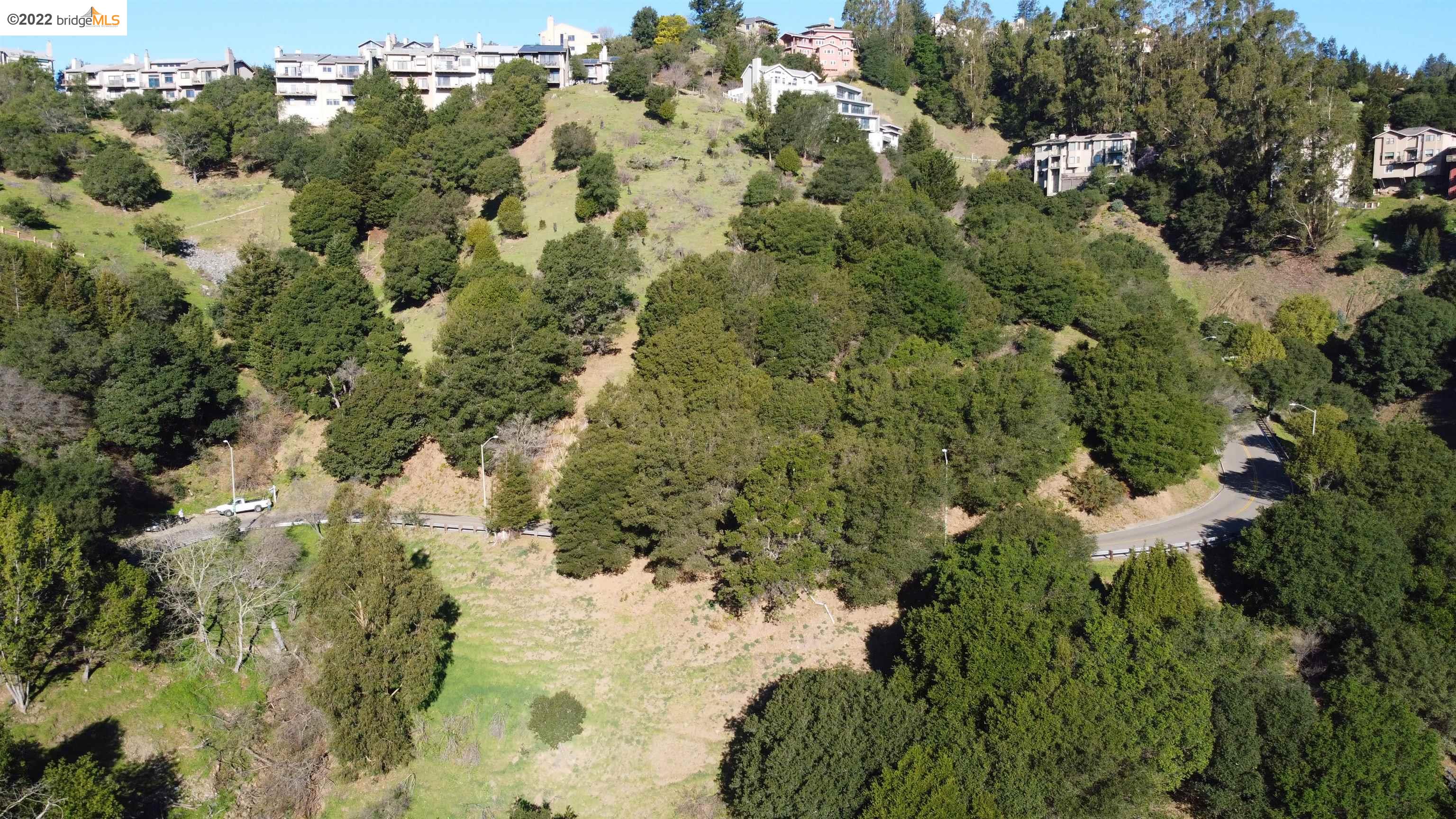 0 Tunnel Road Berkeley, CA 94705 - Photo 17 of 21 a view of a forest with trees