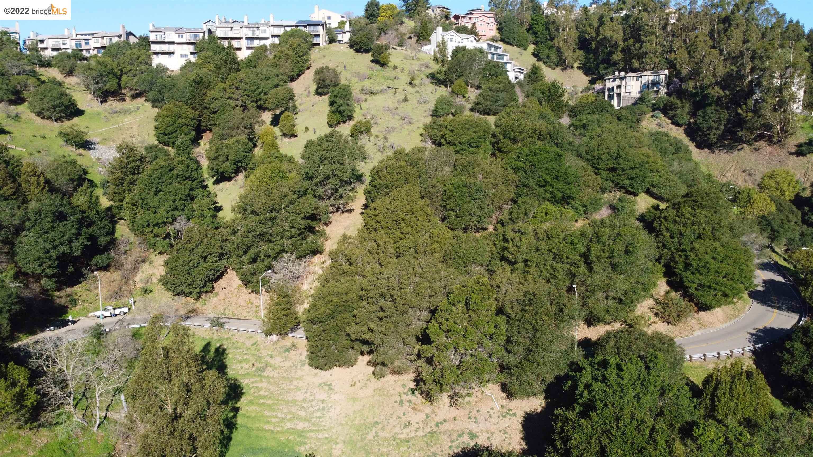 0 Tunnel Road Berkeley, CA 94705 - Photo 18 of 21 a view of a forest with a tree