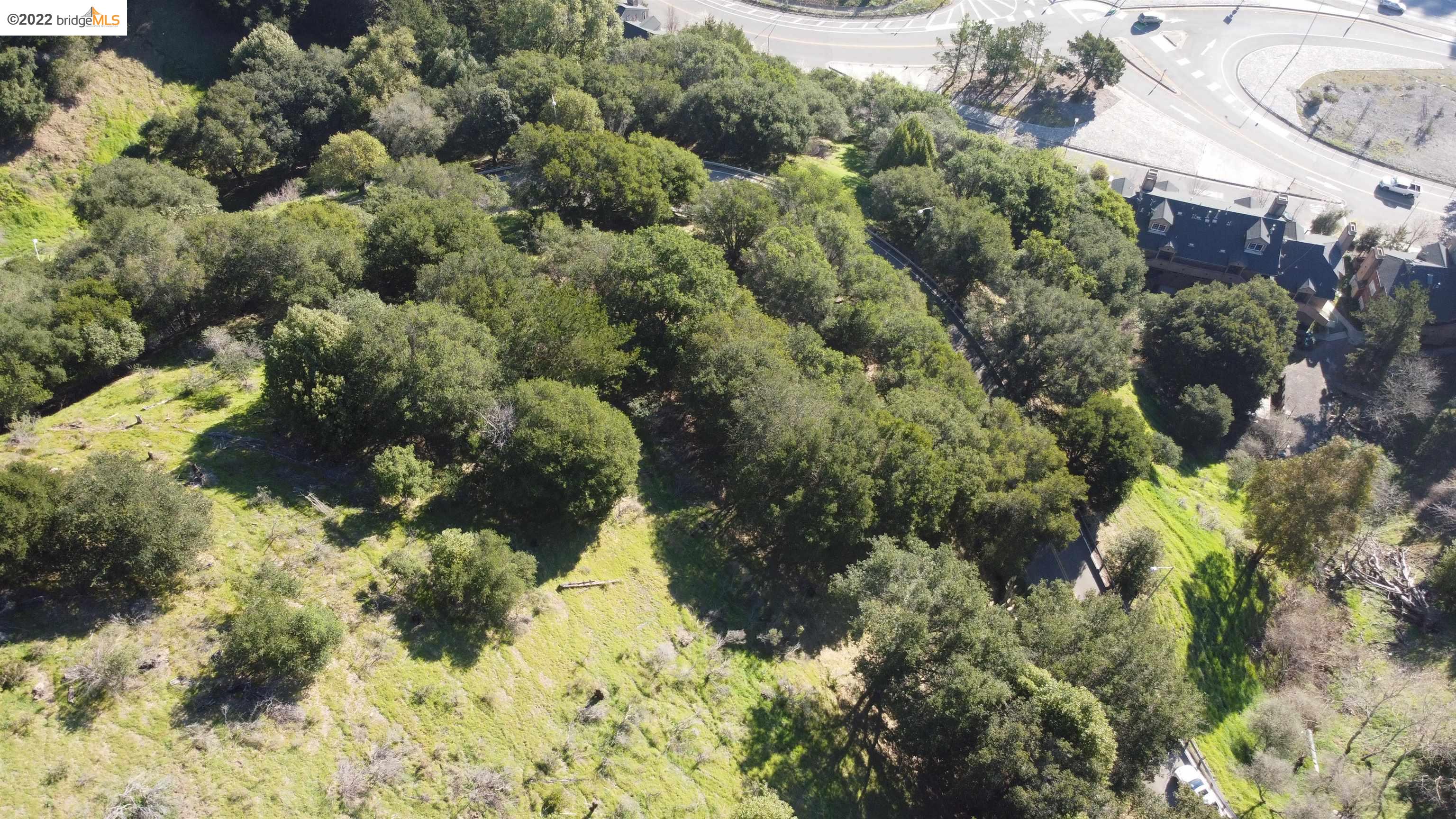 0 Tunnel Road Berkeley, CA 94705 - Photo 9 of 21 a view of a garden with plants