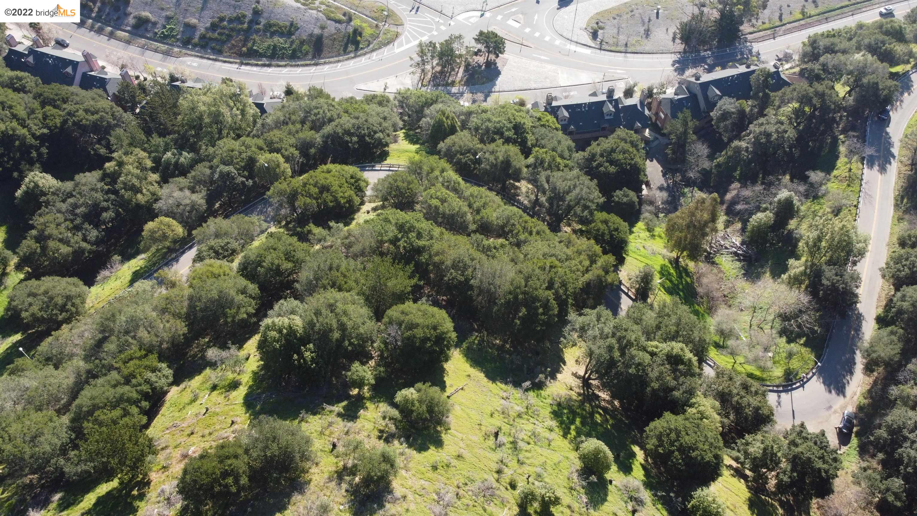 0 Tunnel Road Berkeley, CA 94705 - Photo 10 of 21 a view of a plant in a garden