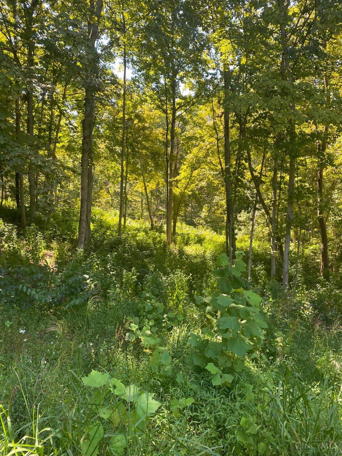 0 Sugar Camp Road Batavia, OH 45103 - Photo 6 of 8