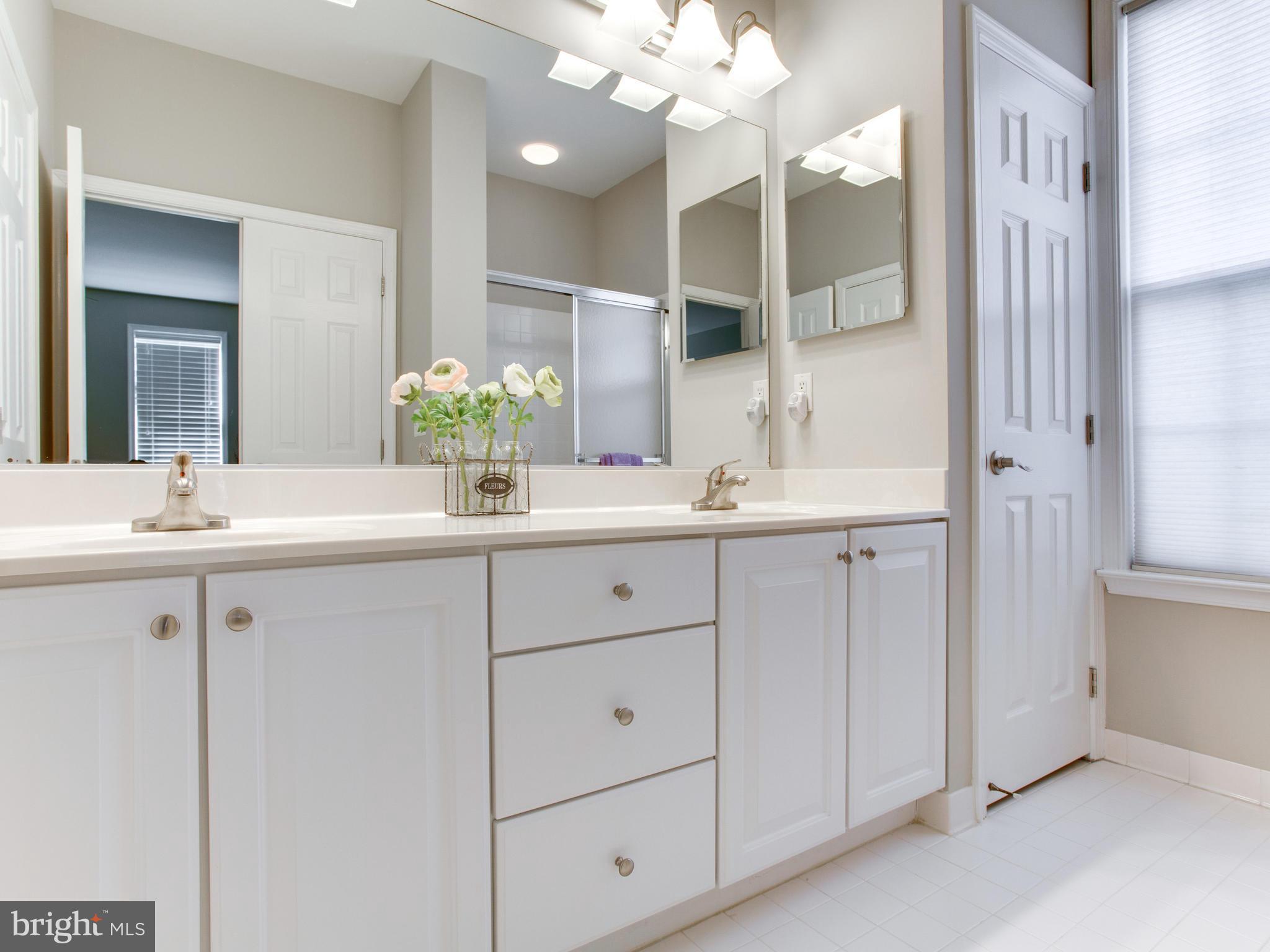 13583 Ryton Ridge Lane Gainesville, VA 20155 - Photo 18 of 28 Bath (Master) - NEW lights & faucets