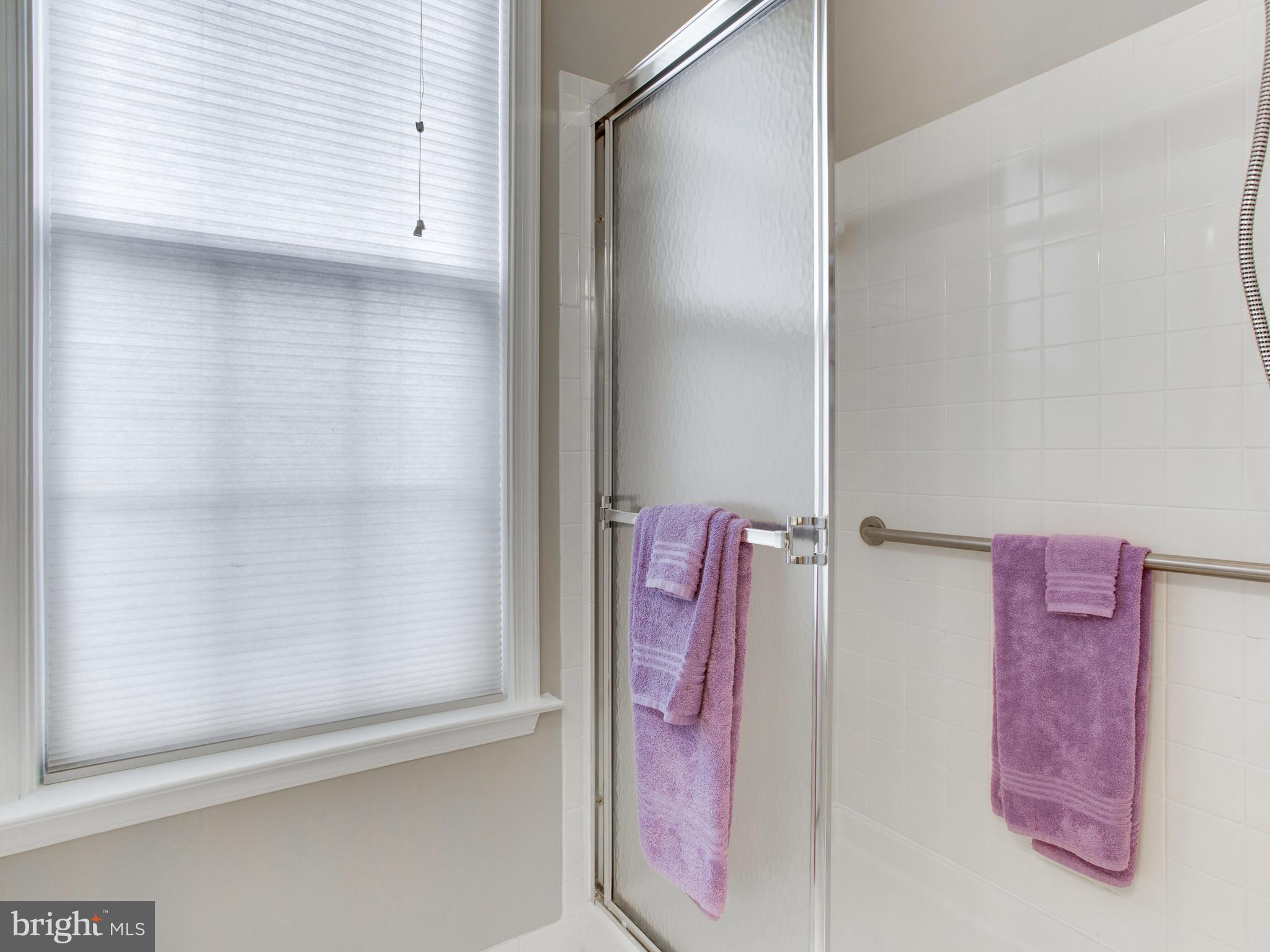 13583 Ryton Ridge Lane Gainesville, VA 20155 - Photo 19 of 28 Bath (Master)