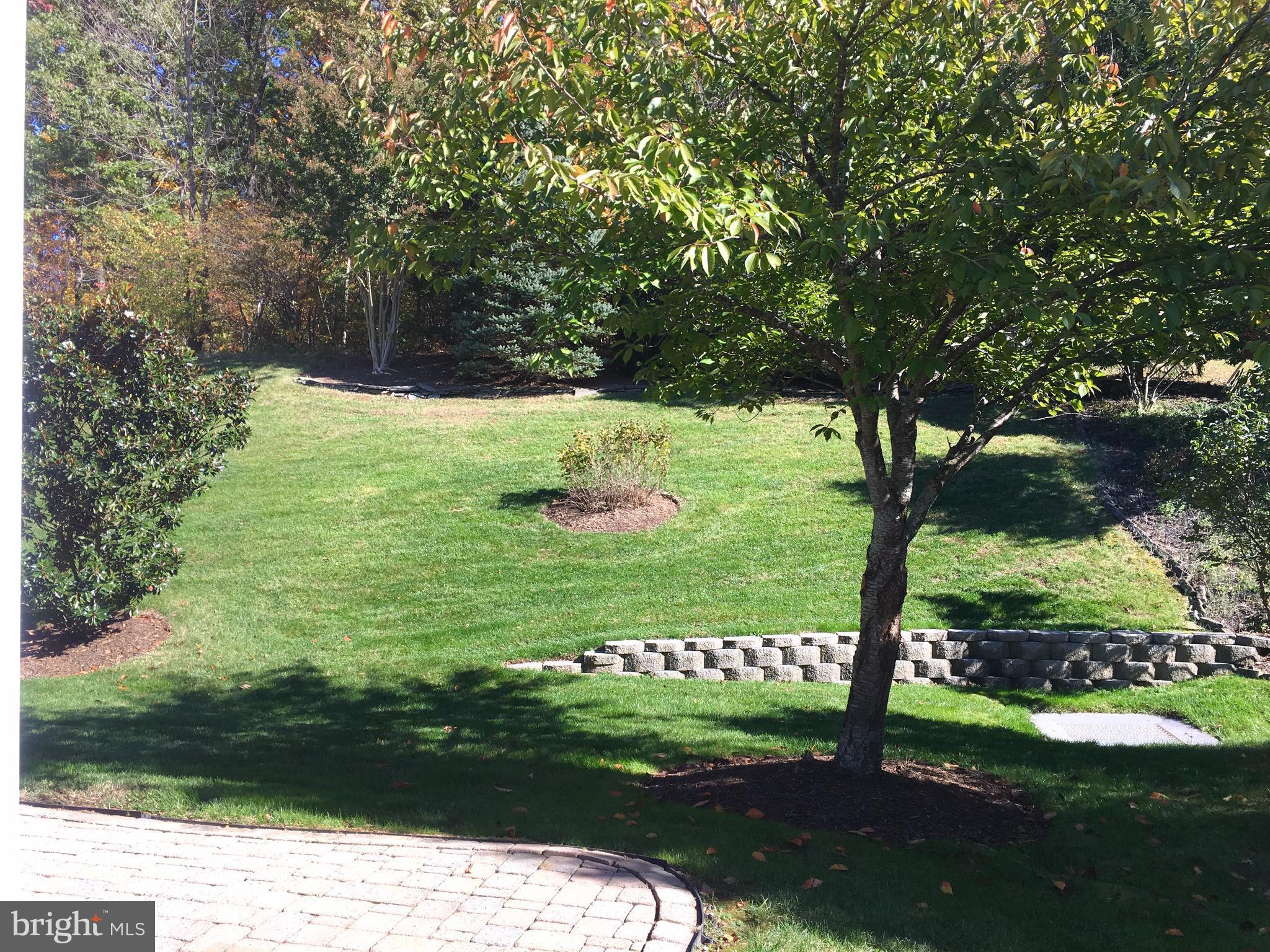 13583 Ryton Ridge Lane Gainesville, VA 20155 - Photo 27 of 28 Landscaped yard - backs to forest!