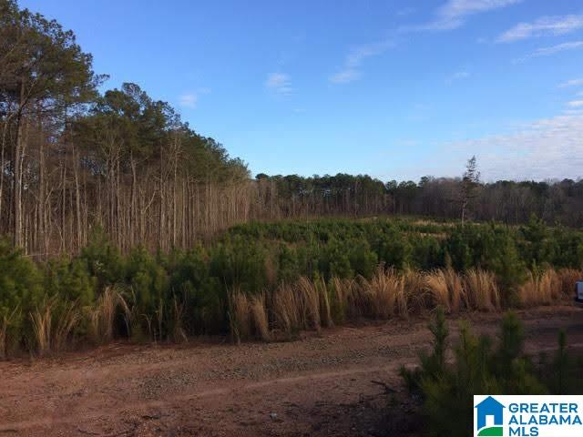 Creek Road, Unit 67 Alexander City, AL 35010 - Photo 1 of 2