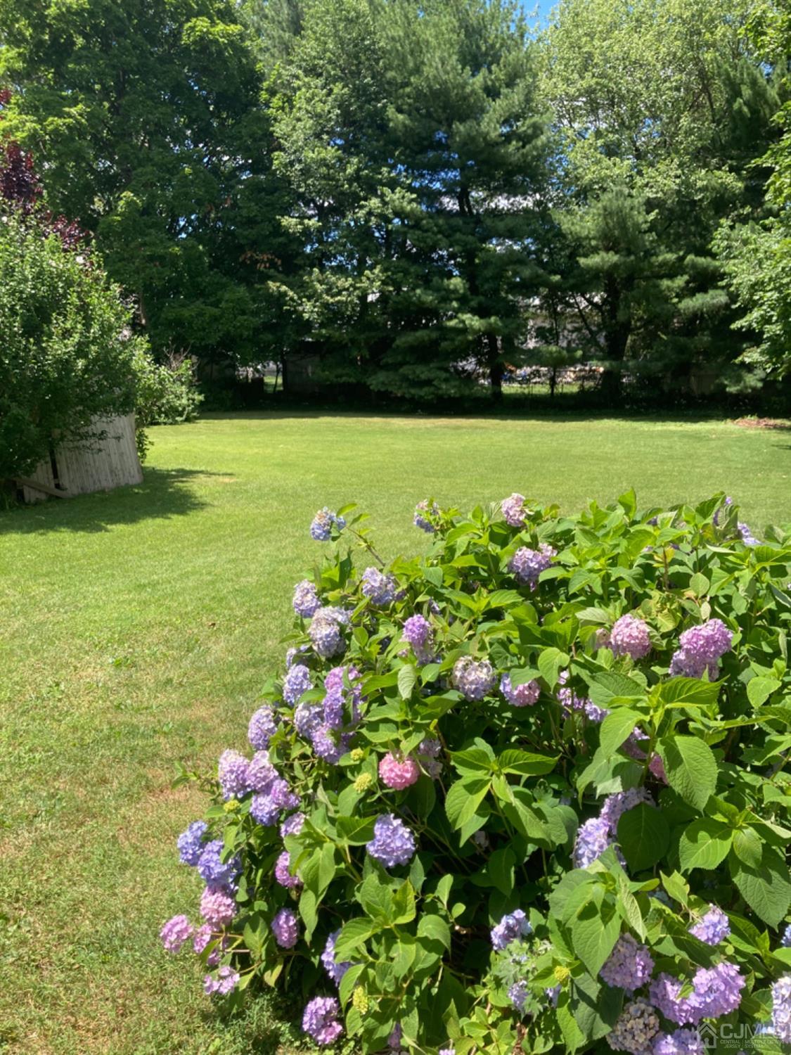 314 Walnut Street Dunellen, NJ 08812 - Photo 47 of 48