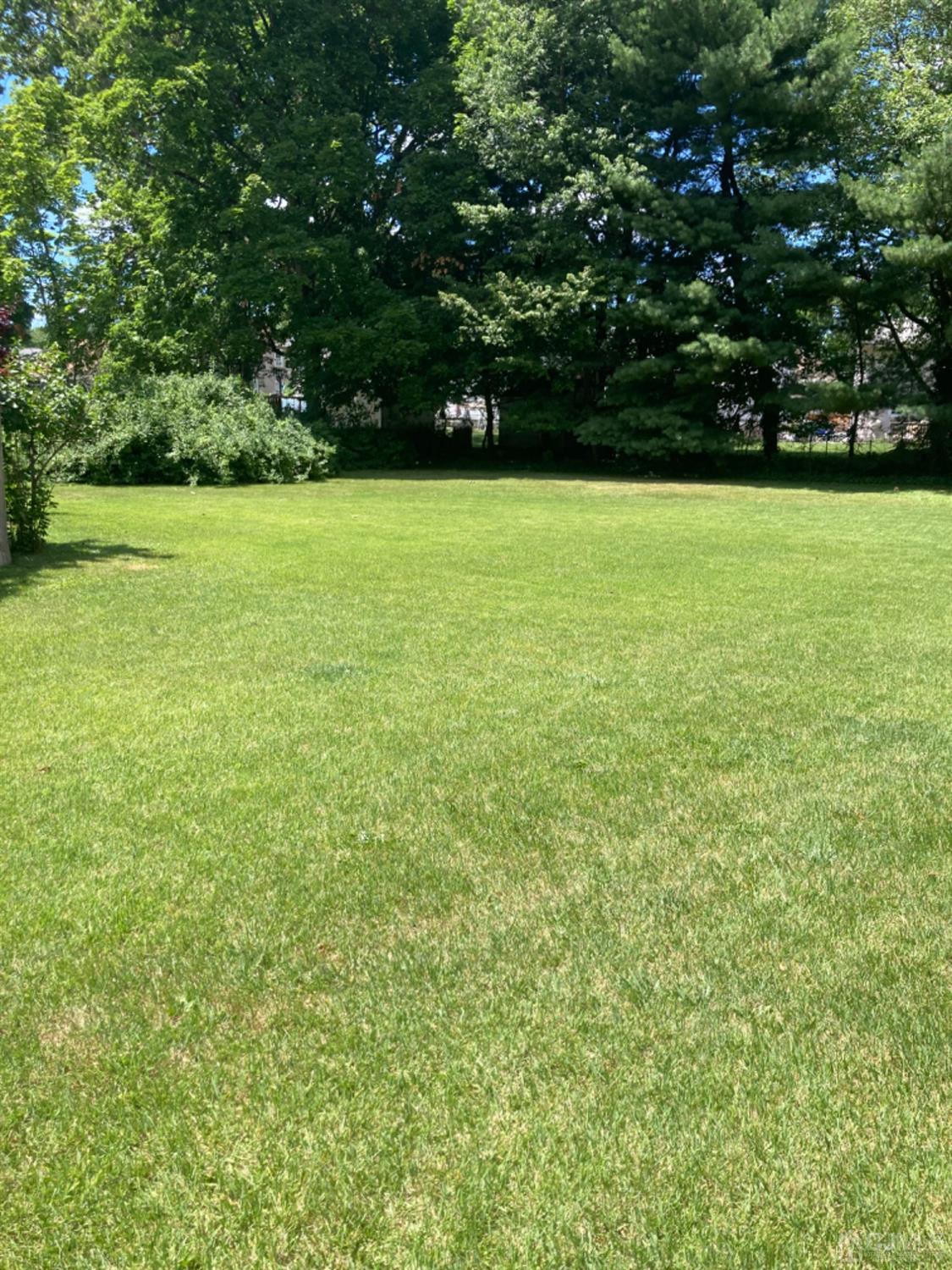 314 Walnut Street Dunellen, NJ 08812 - Photo 48 of 48 a view of a green field with lots of bushes